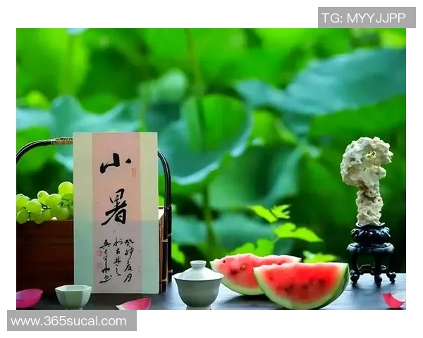 王芳独家分享网球心得与技巧助你提升球技的全面指南