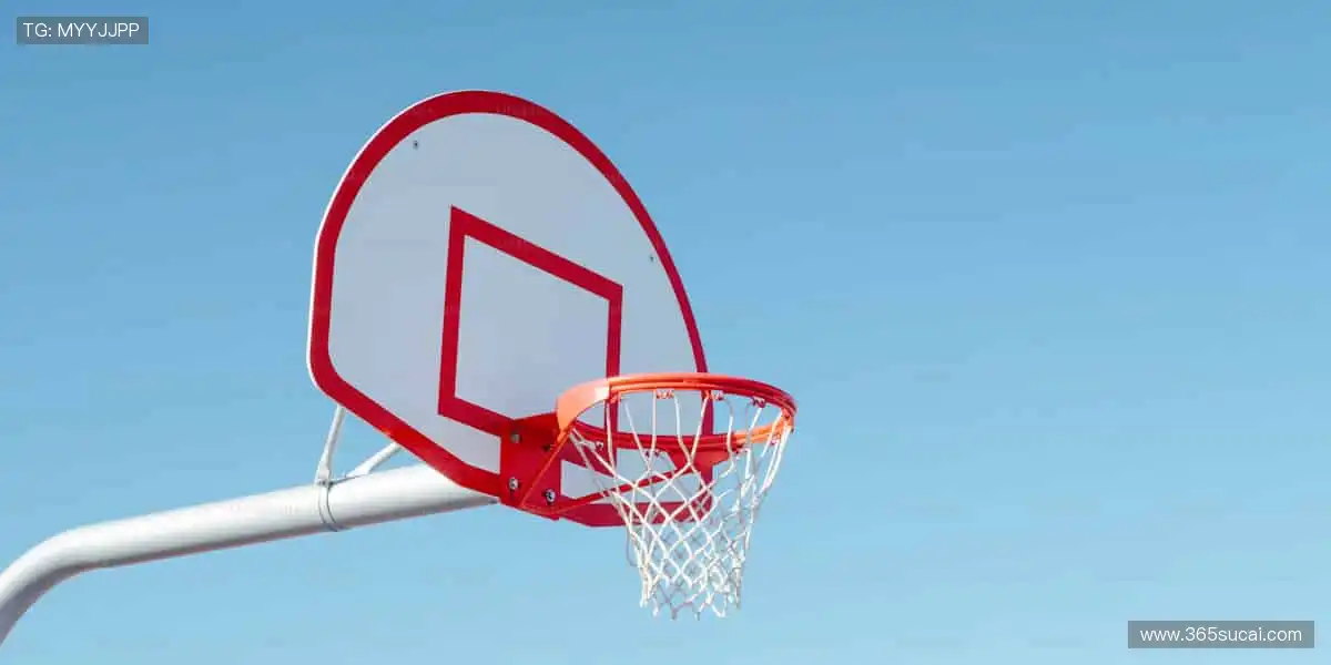 👑冠军同款,把胜利带回家!🏅